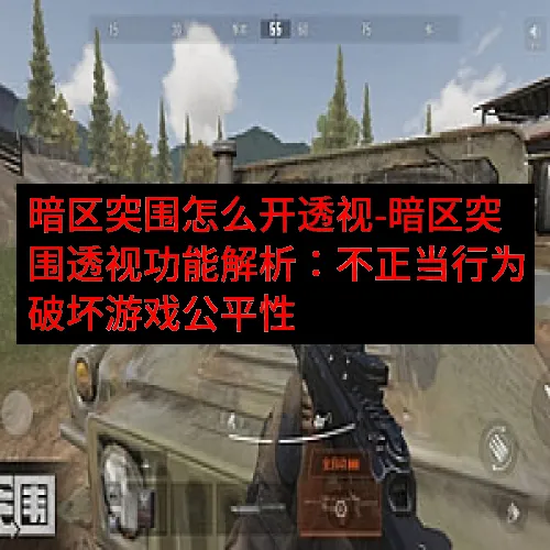 暗区突围怎么开透视-暗区突围透视功能解析：不正当行为破坏游戏